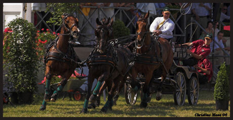 Vierspan in Oudenbosch