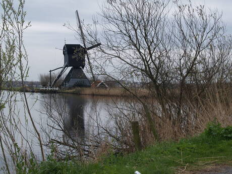 Kinderdijk