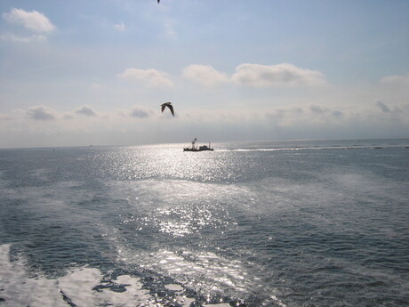 Waddenzee