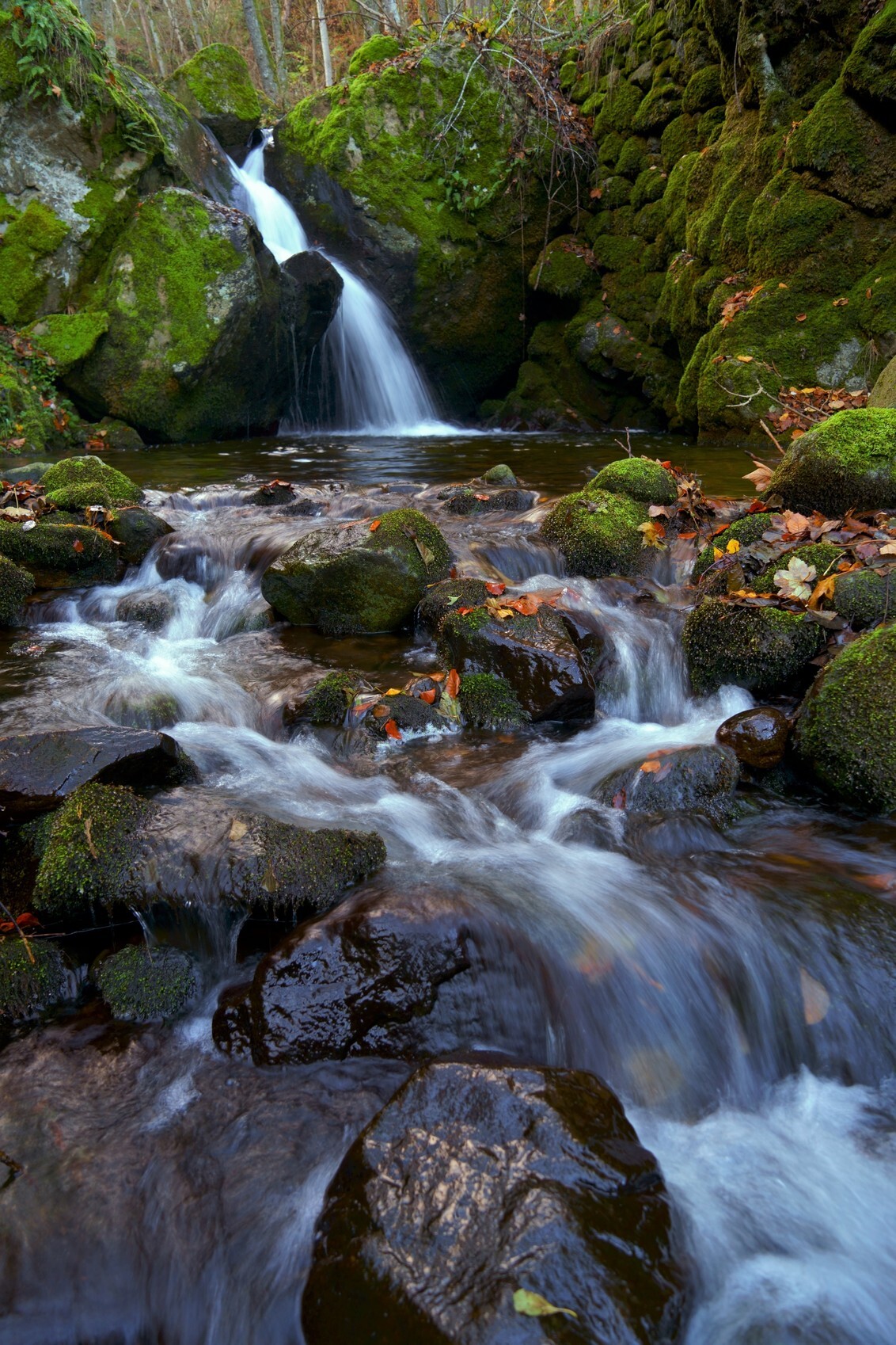 Go where the peaceful waters flow - Zelfde watervalletje als eerst alleen dan anders. 

Wat kortere sluitertijd en zonder grijsfilter om wat meer van de structuur van het stromend wat - foto door EJVH op 19-11-2020 - deze foto bevat: water, natuur, mos, waterval, rivier, compositie, stenen, stromend water, lange sluitertijd, long exposure