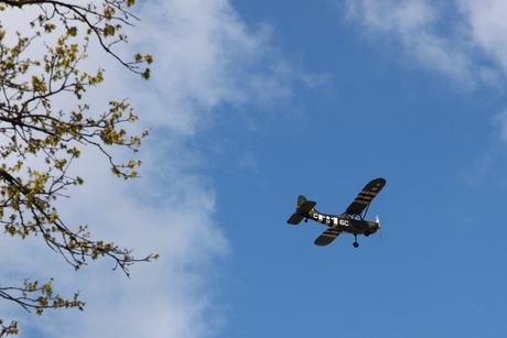 Bevrijdingsdag 2012