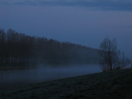 Ochtend mist