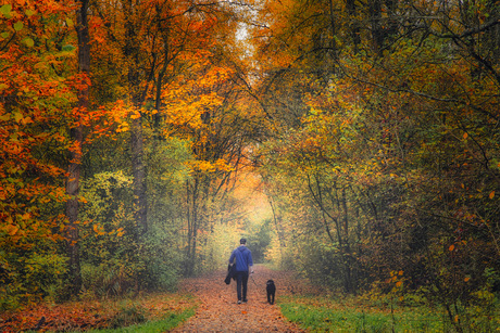 Even lopen met de hond