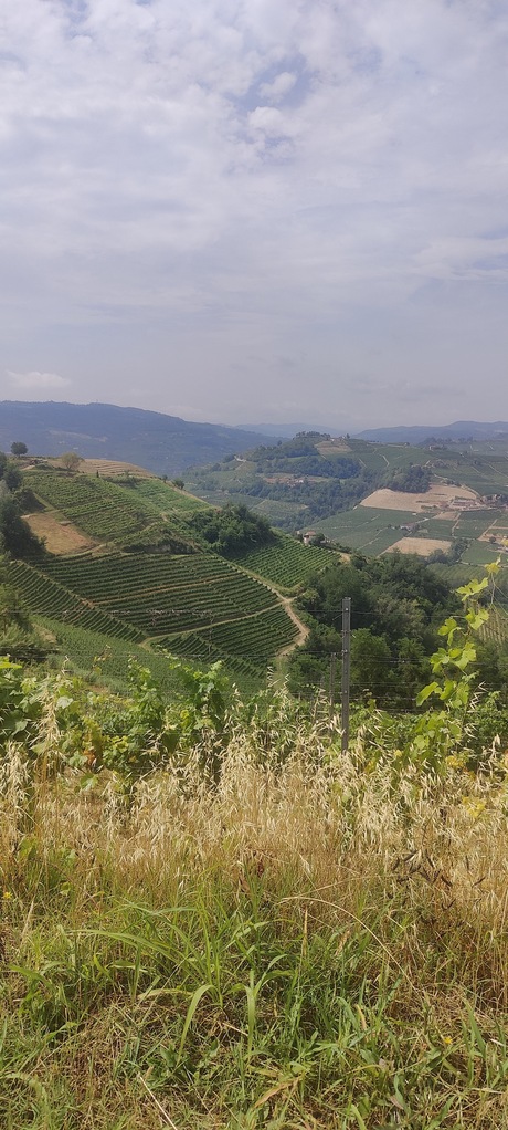 Uitzicht over de heuvels van Piemonte 