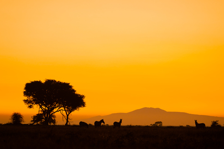 Tanzania
