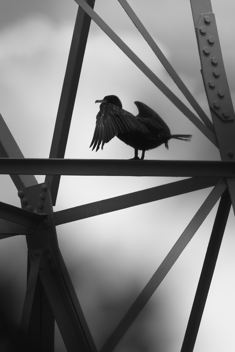 Techniekvogel
