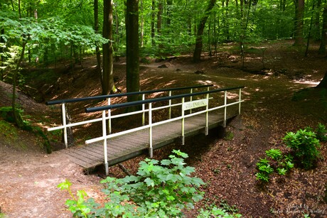 Brug Gielenbeek
