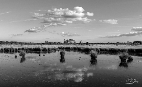 Weerspiegeling