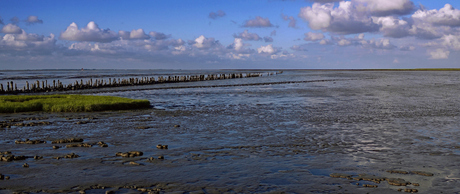 De Wadden