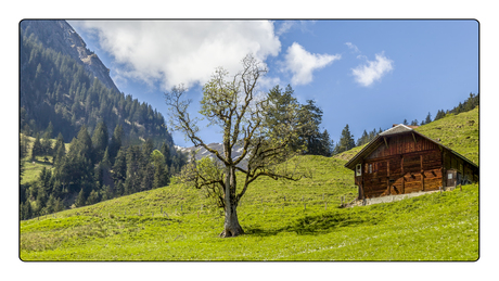 CH-Kiental chalet im bergen