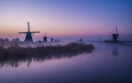 In de vroege ochtend 