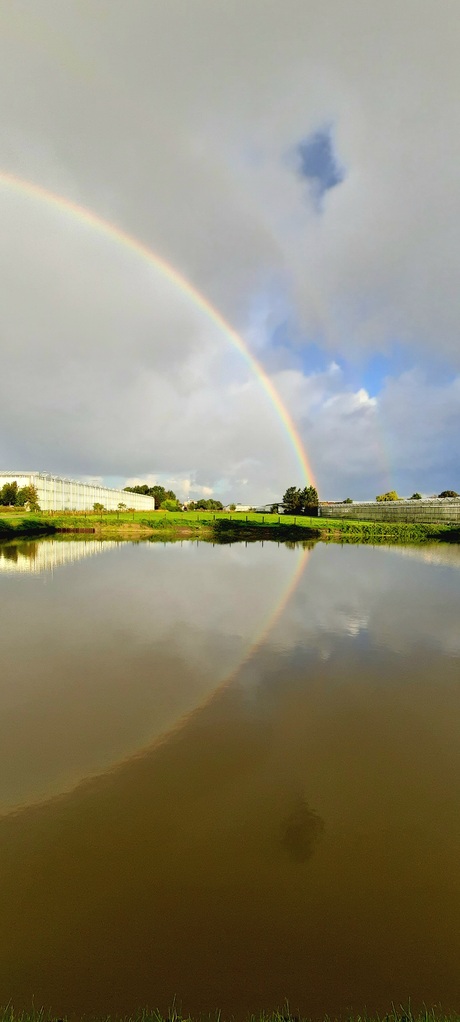 Regenbogen