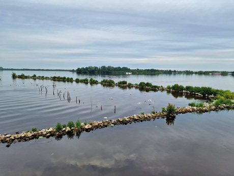 Vogel paradijs in De Alde Feanen 