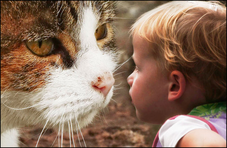 even neusje wrijven???.........................................