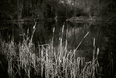 Doornburgh, Maarssen