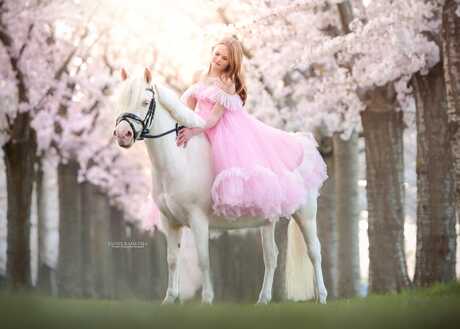 Prinses op het witte paard onder de bloesembomen