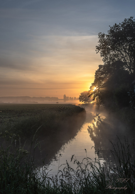 zonlicht over het beekje