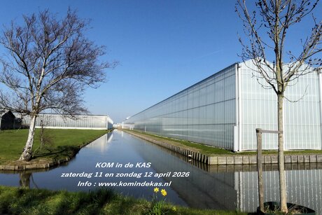 P1300502   KOM IN DE KAS    Info  . Foto  De Lier Burgerdijkseweg  19 mrt  2026  