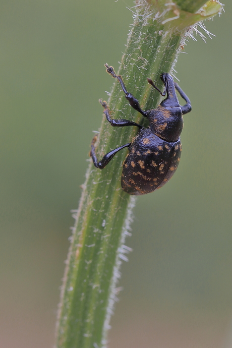 Sporen achterlaten