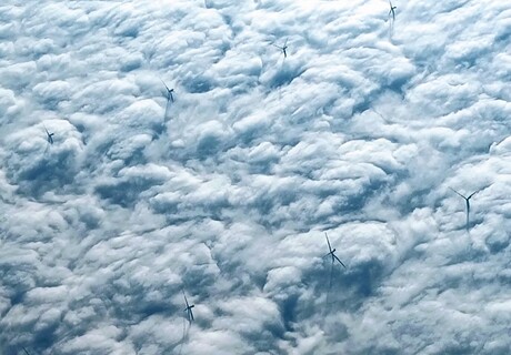 The windmills of her  mind