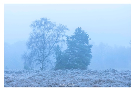 The Brothers in the Fog