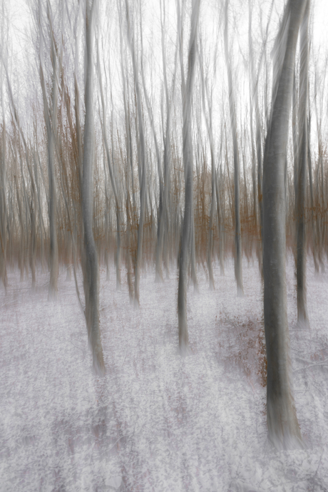 Droomwereld in de sneeuw