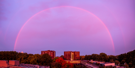 regenboog