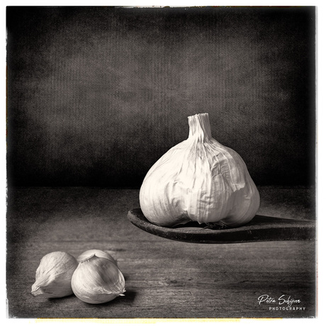 Garlic