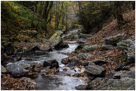 Herfst