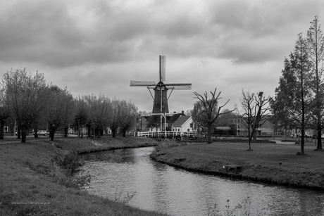Korenmolen De Lelie