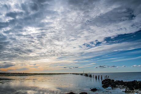 waddenzee