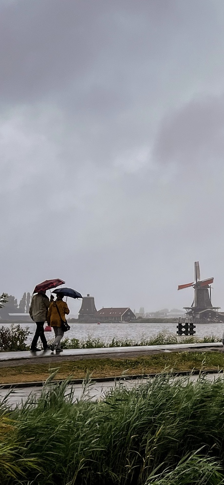 Rainy day in Zaandijk