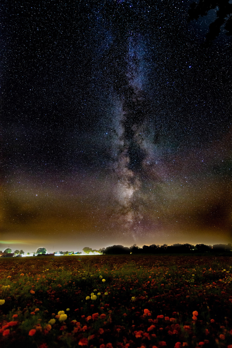 'Stargazing'