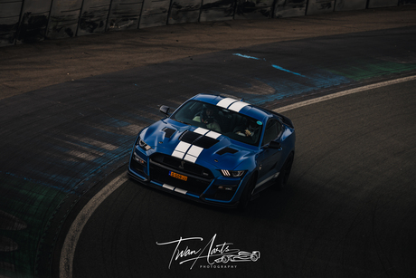 Ford Mustang Shelby GT500 Signature Edition op Circuit Zandvoort