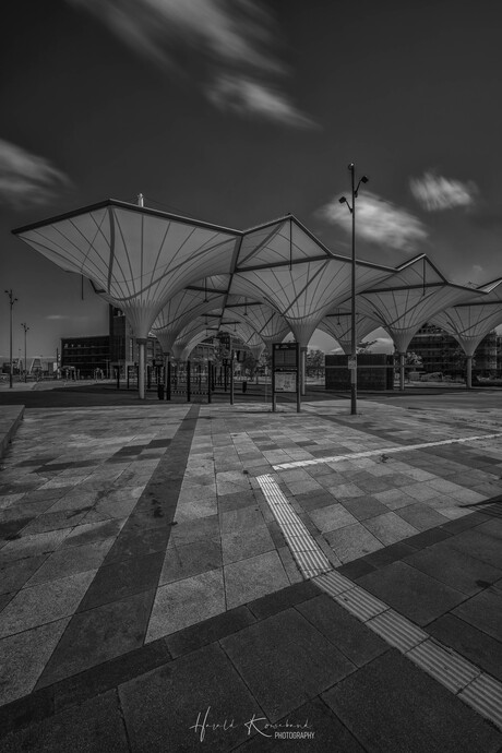 Busstation Leidsche Rijn