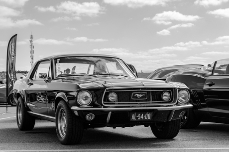(Ford) Mustang Nation