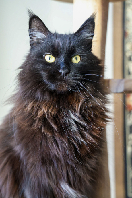 Testen R8 - Onbewerkt