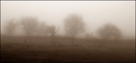 Mistige ochtend