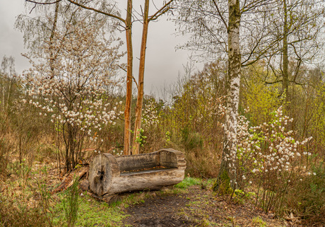 Even verpozen in de natuur