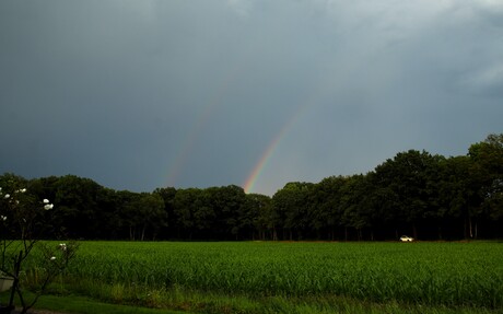 dubbele regenboog