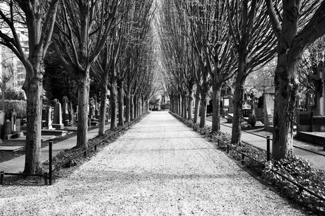 Kerkhof Akerstraat Heerlen