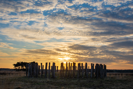 Regte Heide