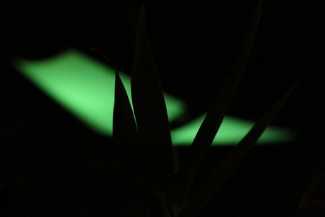 Groen