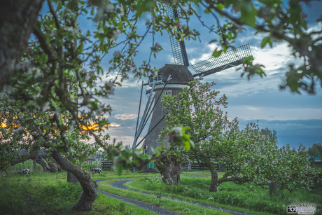 Zonsondergang bij de Boezemmolen in Haastrecht,