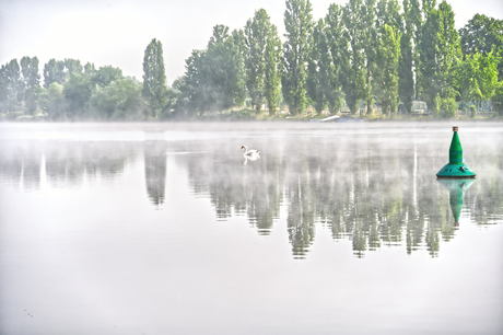 ochtendnevel