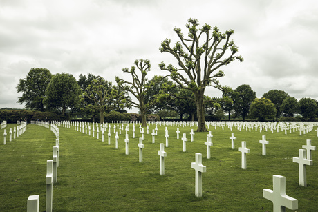 Cemetery trees