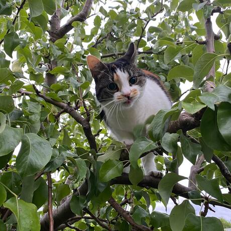 Je kunt me lekker toch niet zien