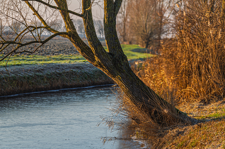 zonnige winterochtend