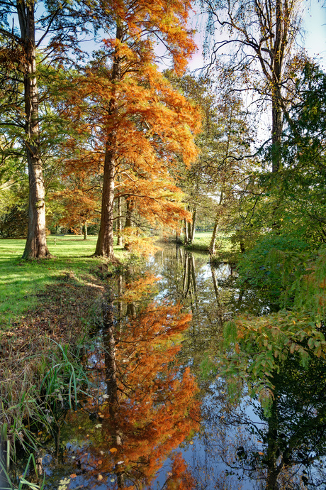 Herfstkleuren in Park Clingendael