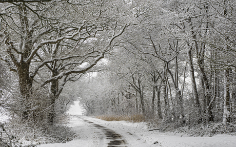Winterweg
